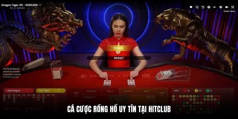 Cá cược Rồng Hổ uy tín tại Hitclub