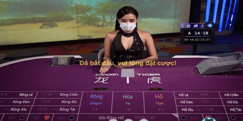 Các tỷ lệ cược và mức thưởng trong game