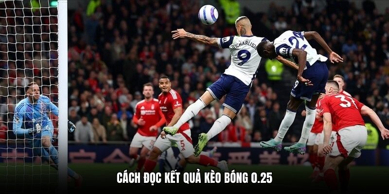 Cách đọc kết quả kèo bóng 0.25
