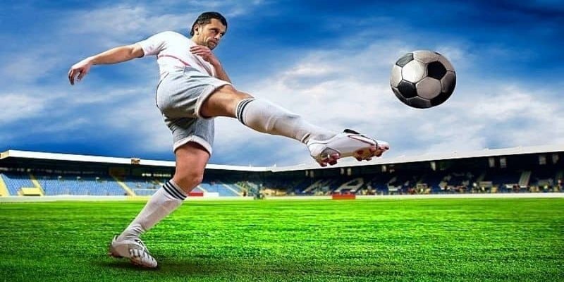 Quan sát và theo dõi kỹ tình hình đội bóng