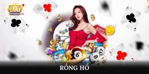 Rồng Hổ