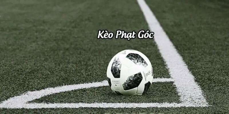 Thể loại tài xỉu được rất nhiều người chơi ưa chuộng