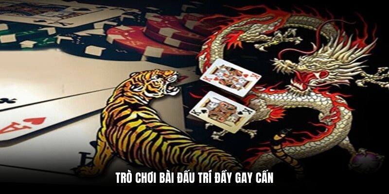 Trò chơi bài đấu trí đầy gay cấn