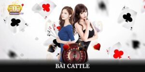 bài Catte