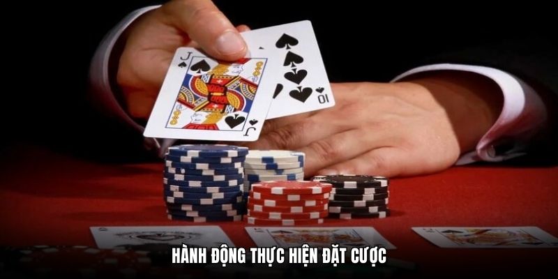 Hành động thực hiện đặt cược