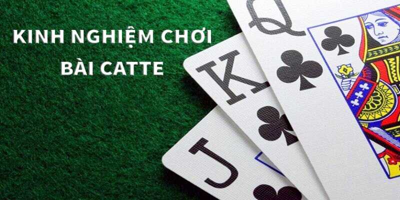 Mẹo chơi bài Catte hiệu quả